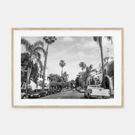 Santa Barbara Landscape B&W Poster