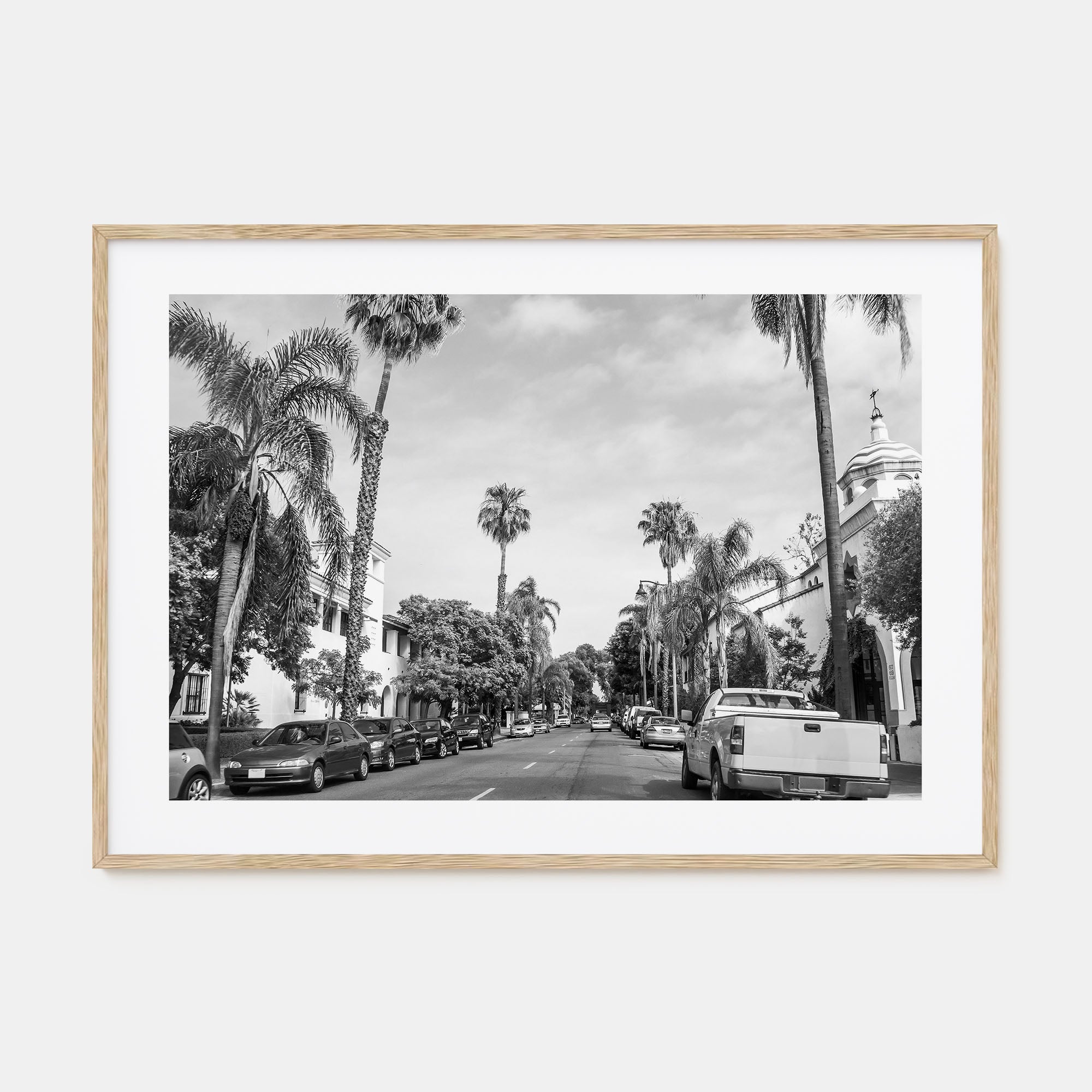 Santa Barbara Landscape B&W Poster