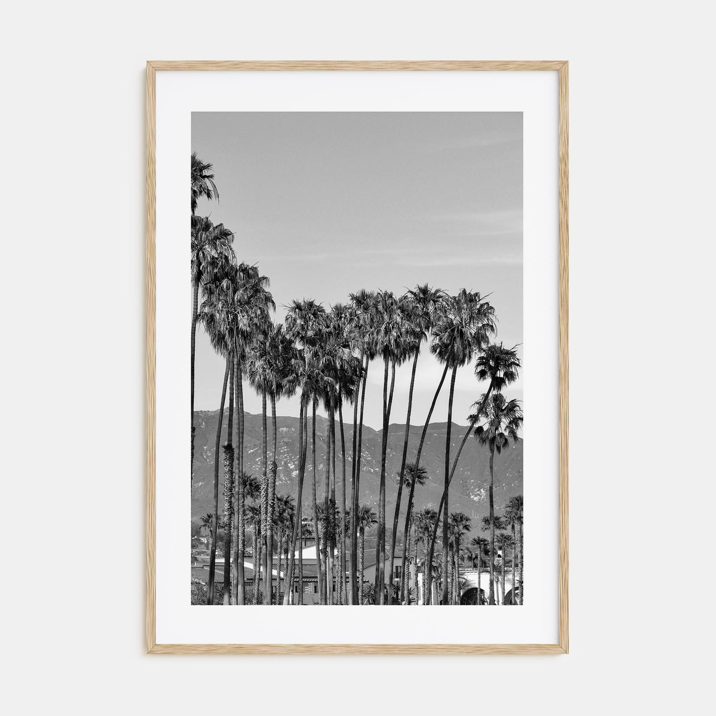 Santa Barbara Photo B&W No 2 Poster