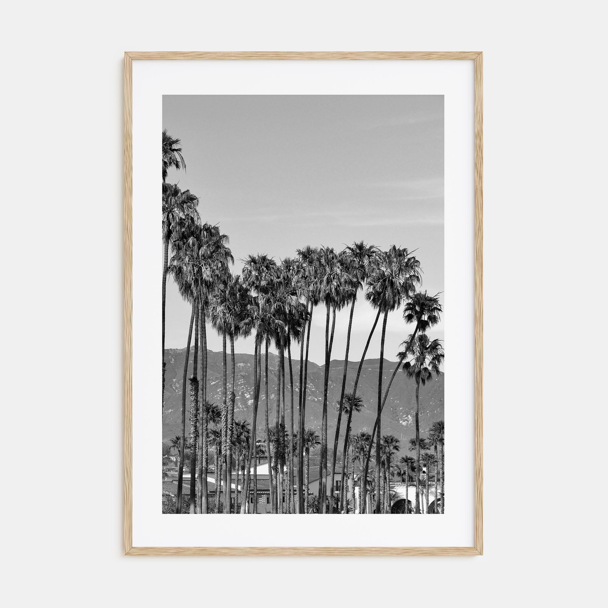 Santa Barbara Photo B&W No 2 Poster