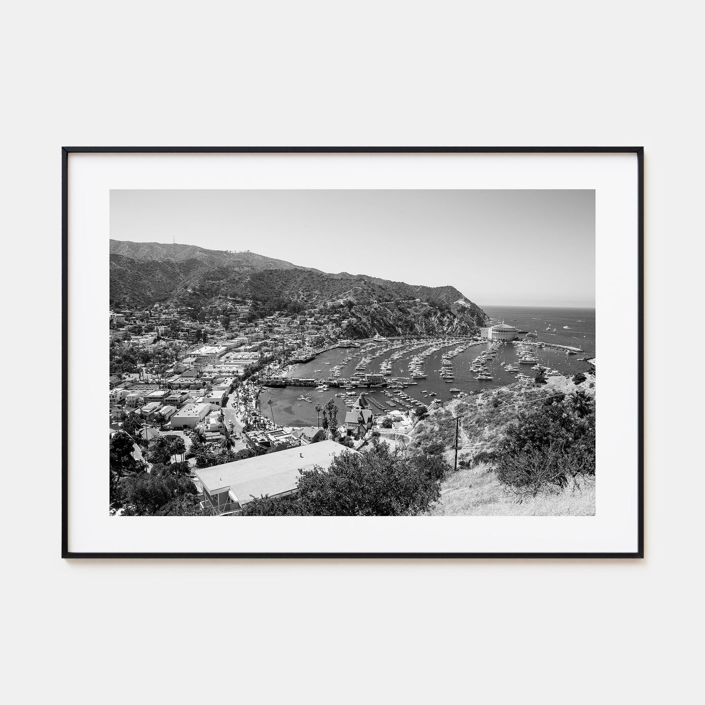 Santa Catalina Island Landscape B&W Poster