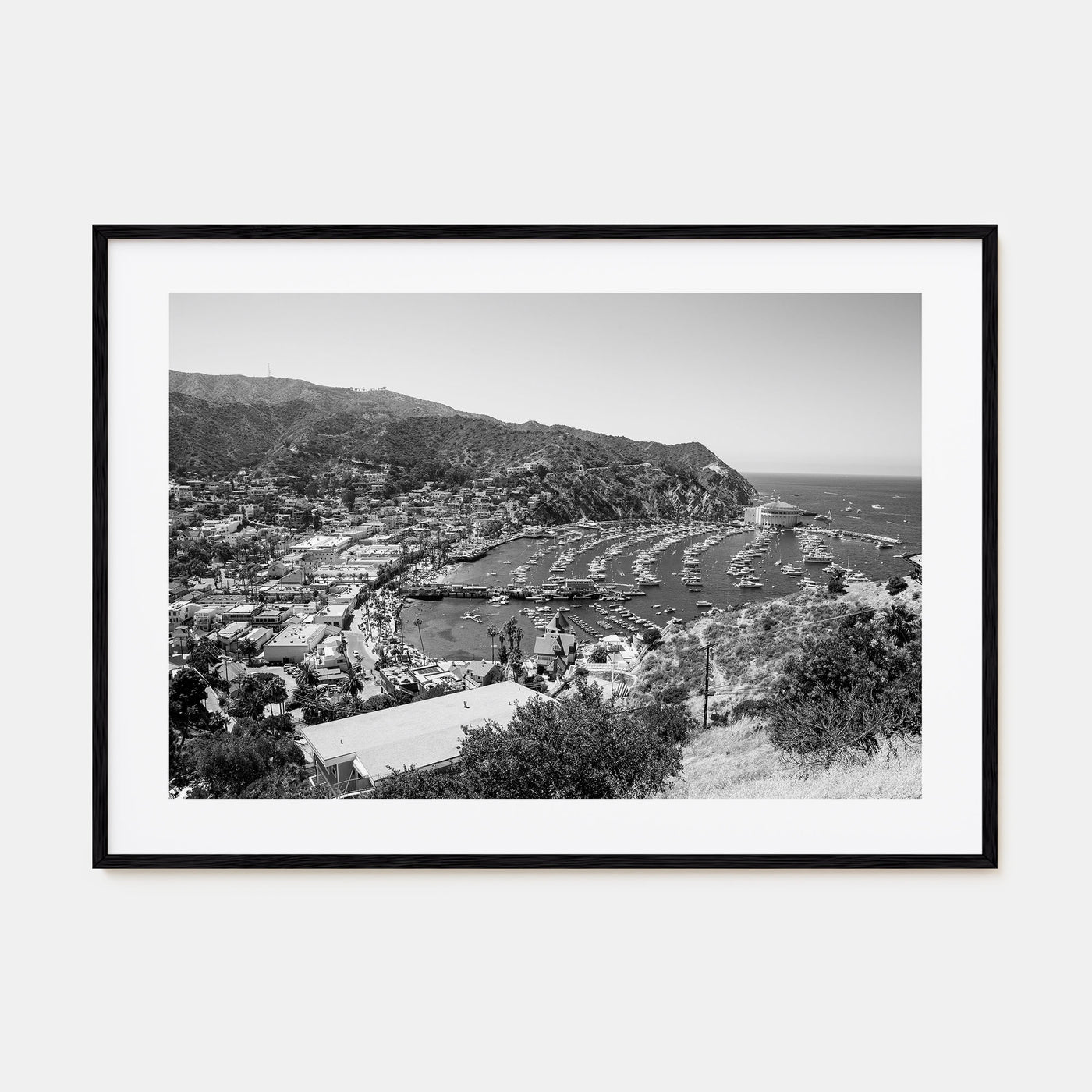 Santa Catalina Island Landscape B&W Poster