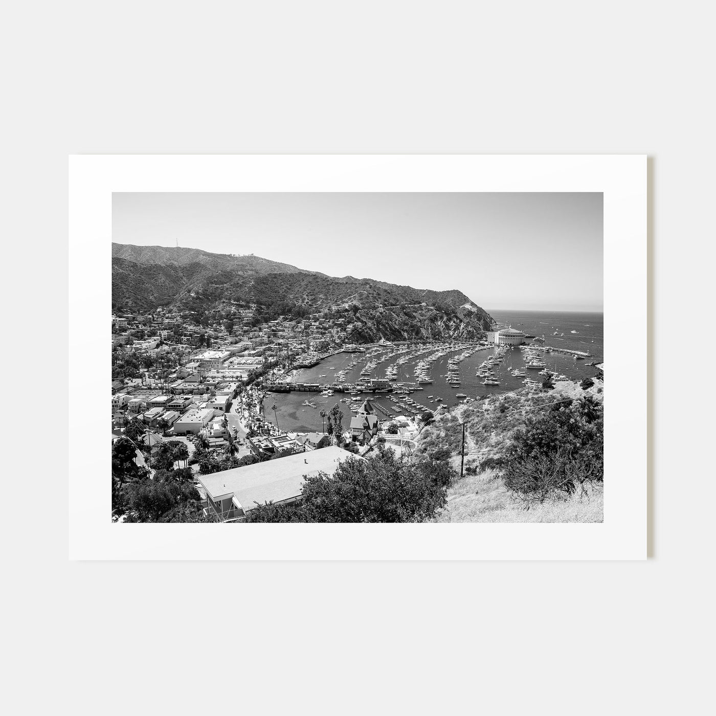 Santa Catalina Island Landscape B&W Poster