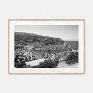 Santa Catalina Island Landscape B&W Poster