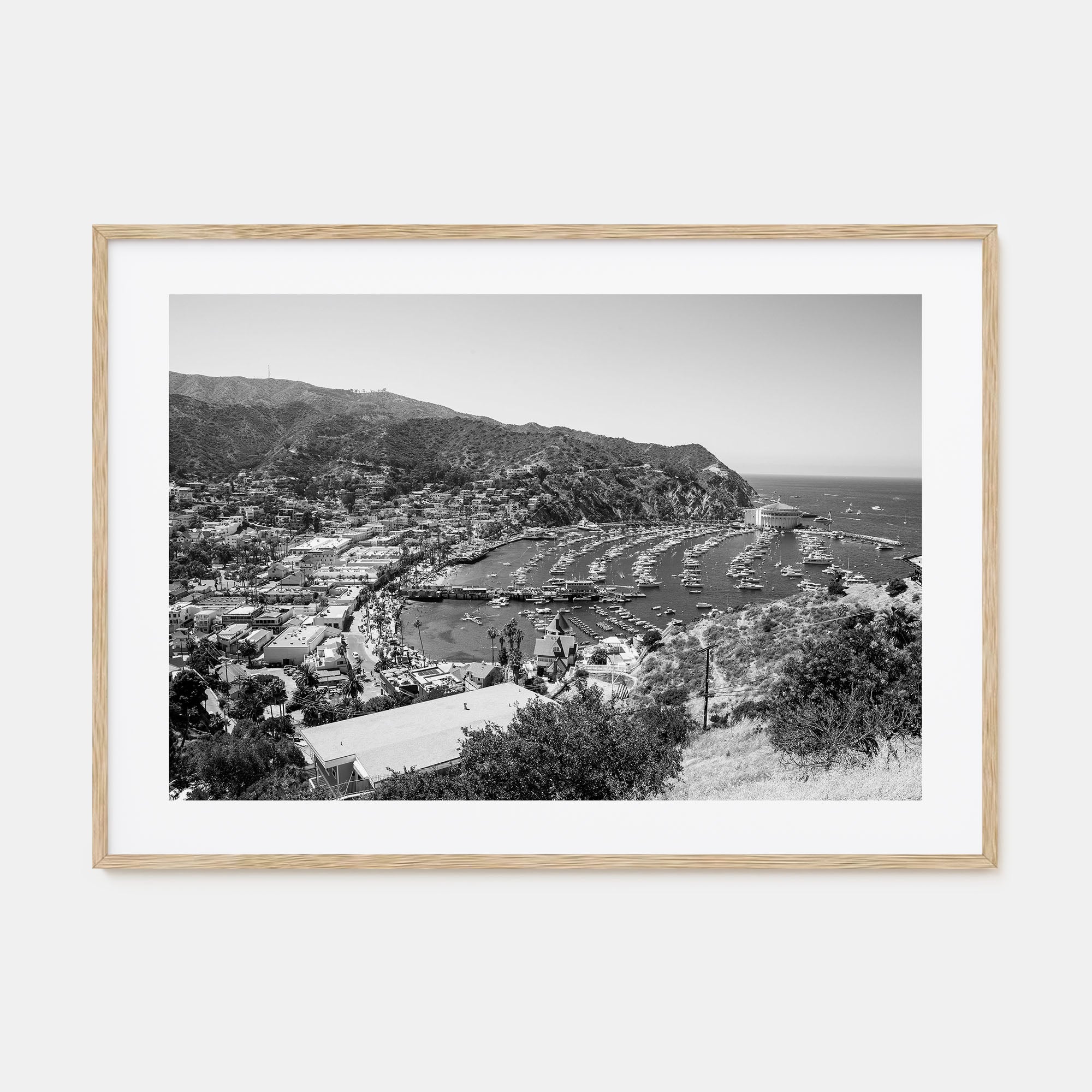 Santa Catalina Island Landscape B&W Poster