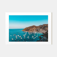Santa Catalina Island Landscape Color Poster
