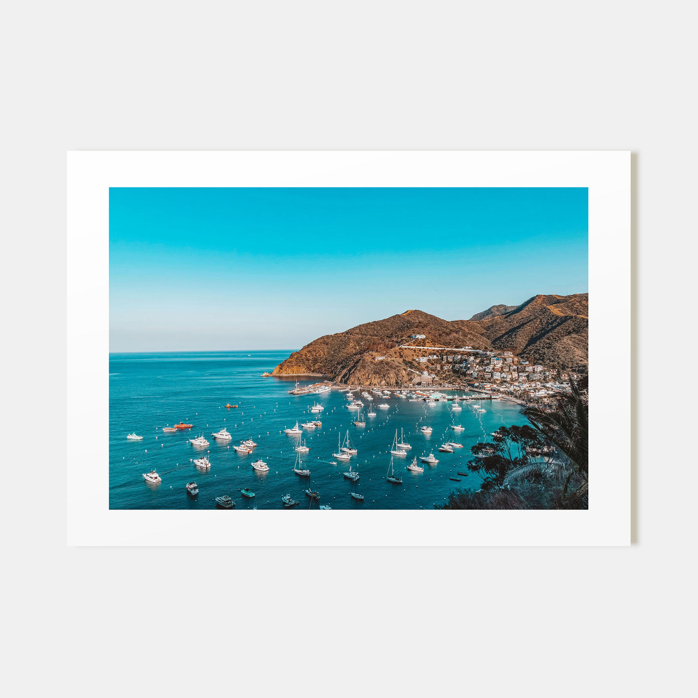 Santa Catalina Island Landscape Color Poster