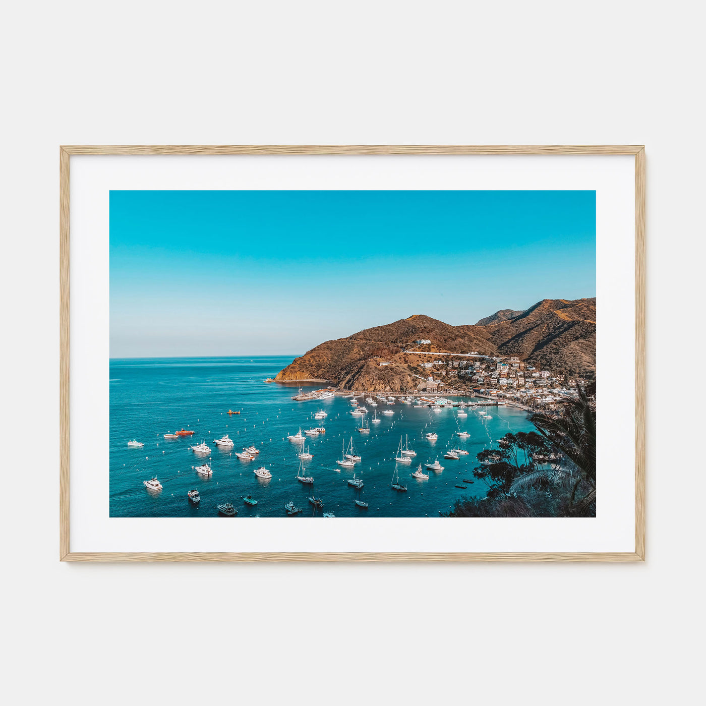 Santa Catalina Island Landscape Color Poster
