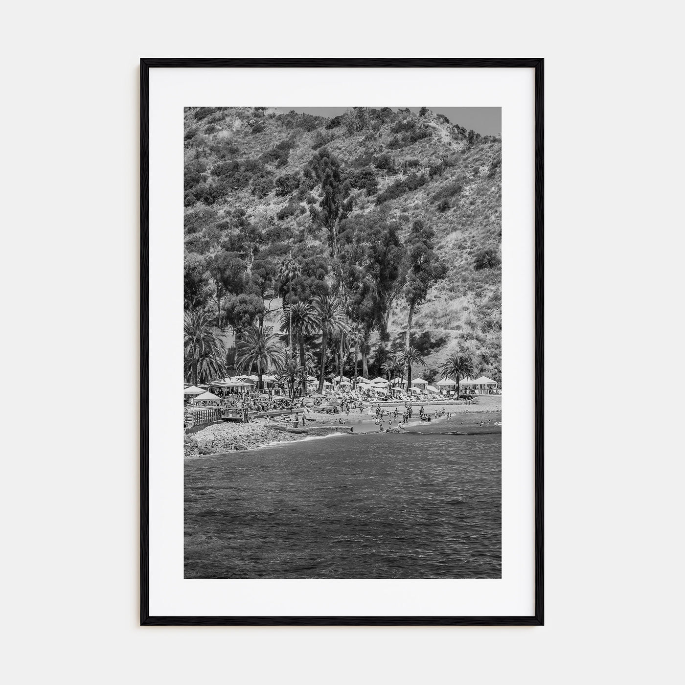 Santa Catalina Island Photo B&W Poster