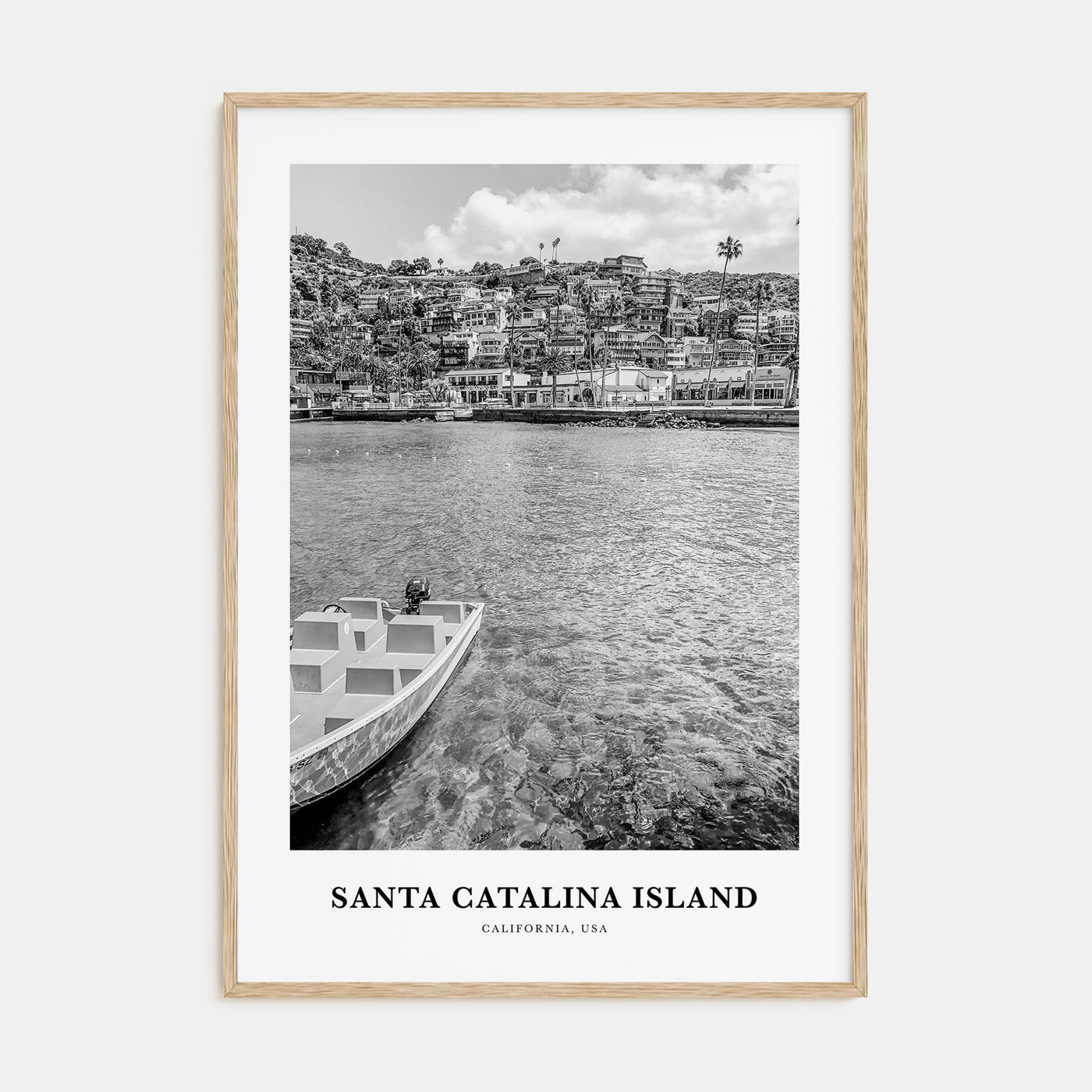 Santa Catalina Island Portrait B&W No 1 Poster