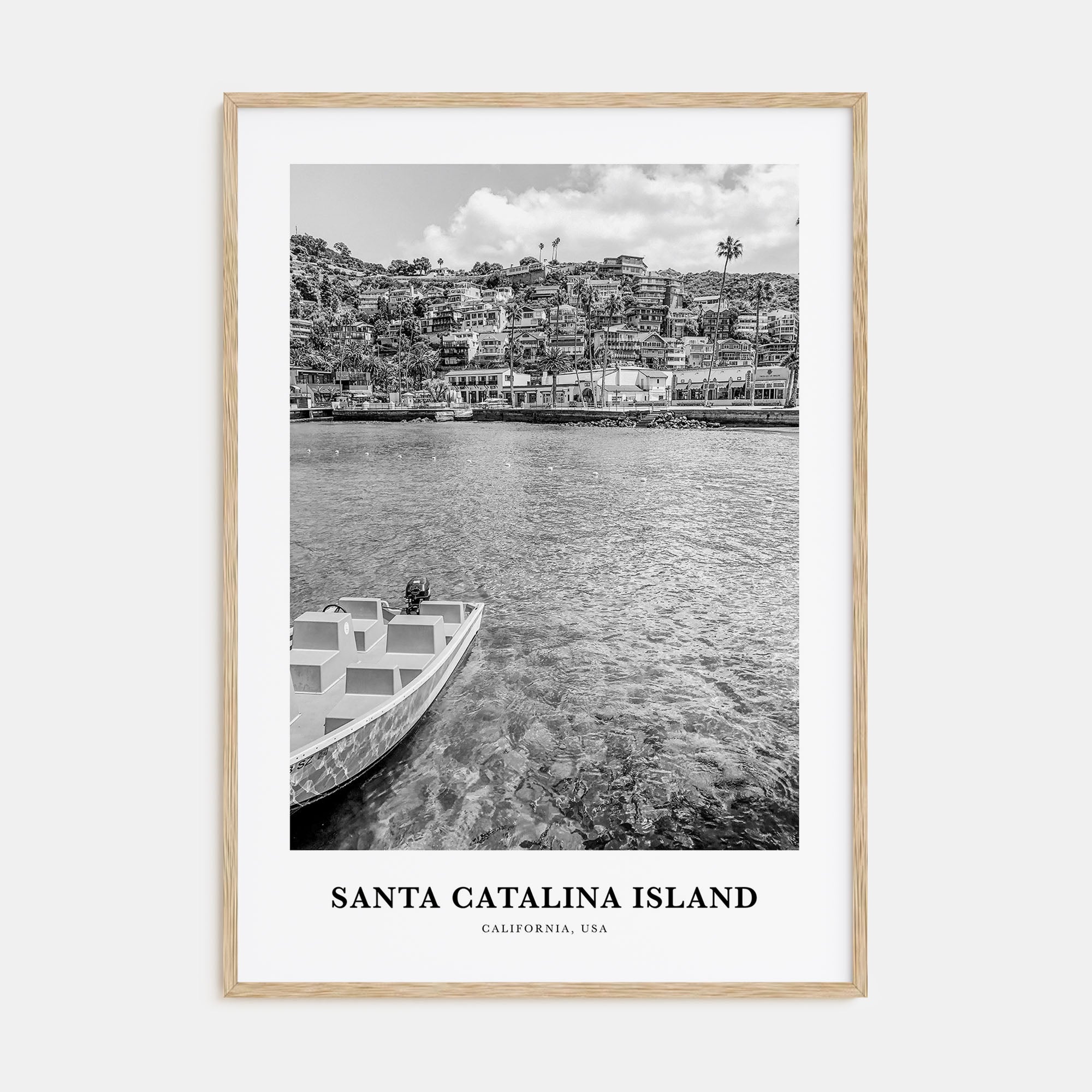 Santa Catalina Island Portrait B&W No 1 Poster