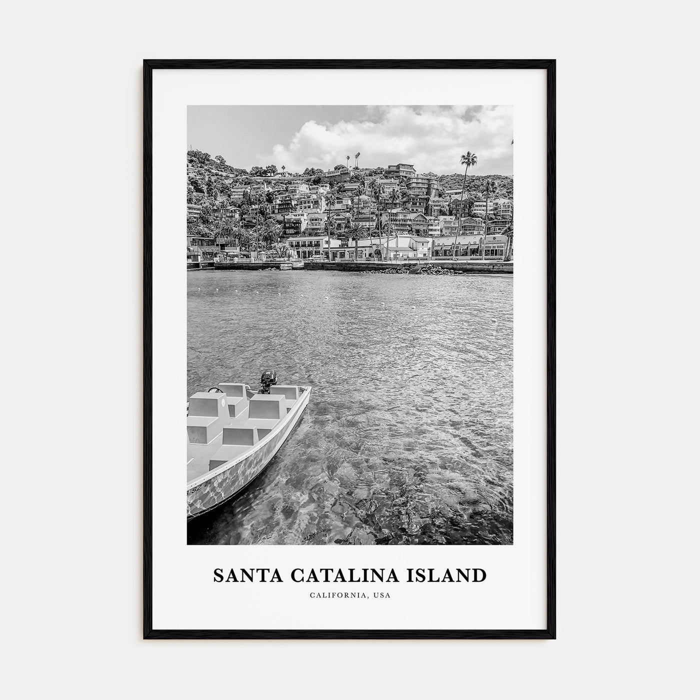 Santa Catalina Island Portrait B&W No 1 Poster