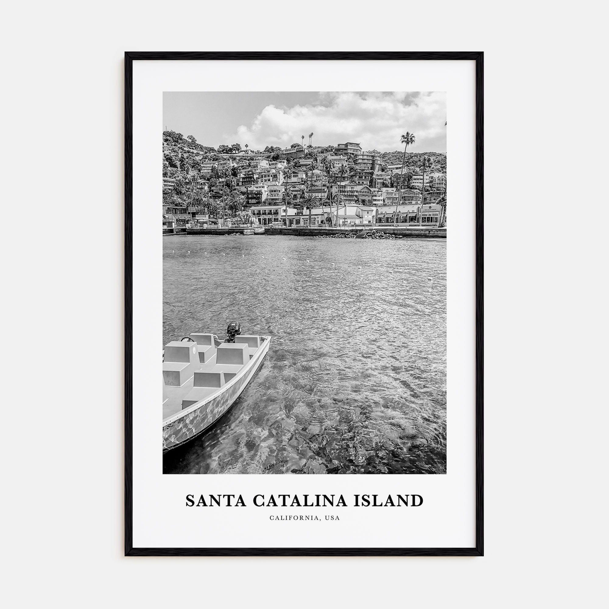 Santa Catalina Island Portrait B&W No 1 Poster