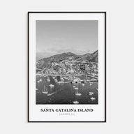 Santa Catalina Island Portrait B&W No 2 Poster