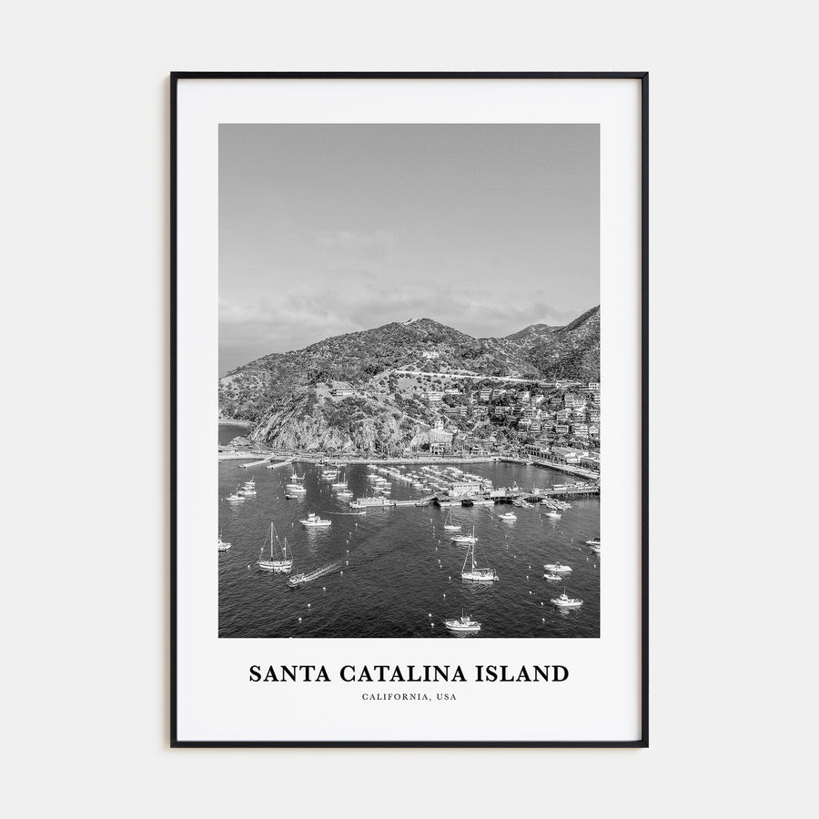 Santa Catalina Island Portrait B&W No 2 Poster
