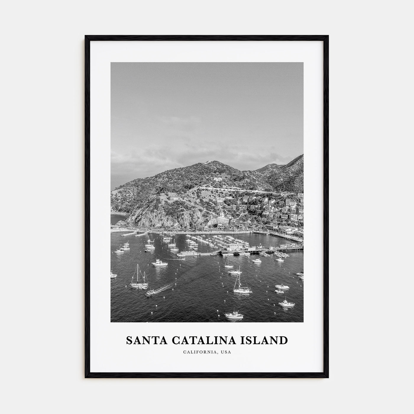 Santa Catalina Island Portrait B&W No 2 Poster