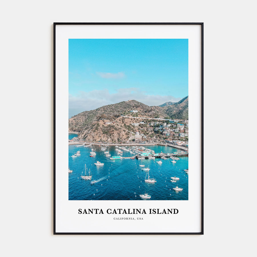 Santa Catalina Island Portrait Color Poster