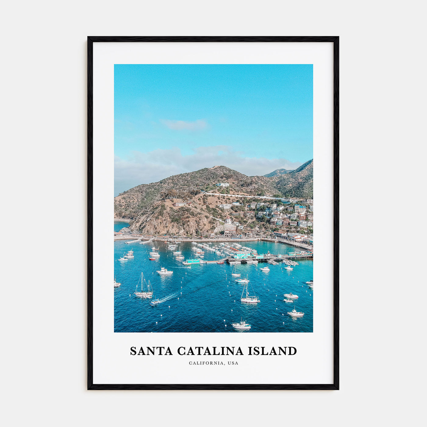 Santa Catalina Island Portrait Color Poster