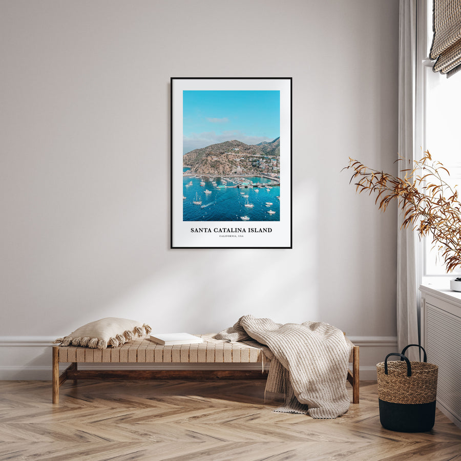 Santa Catalina Island Portrait Color Poster