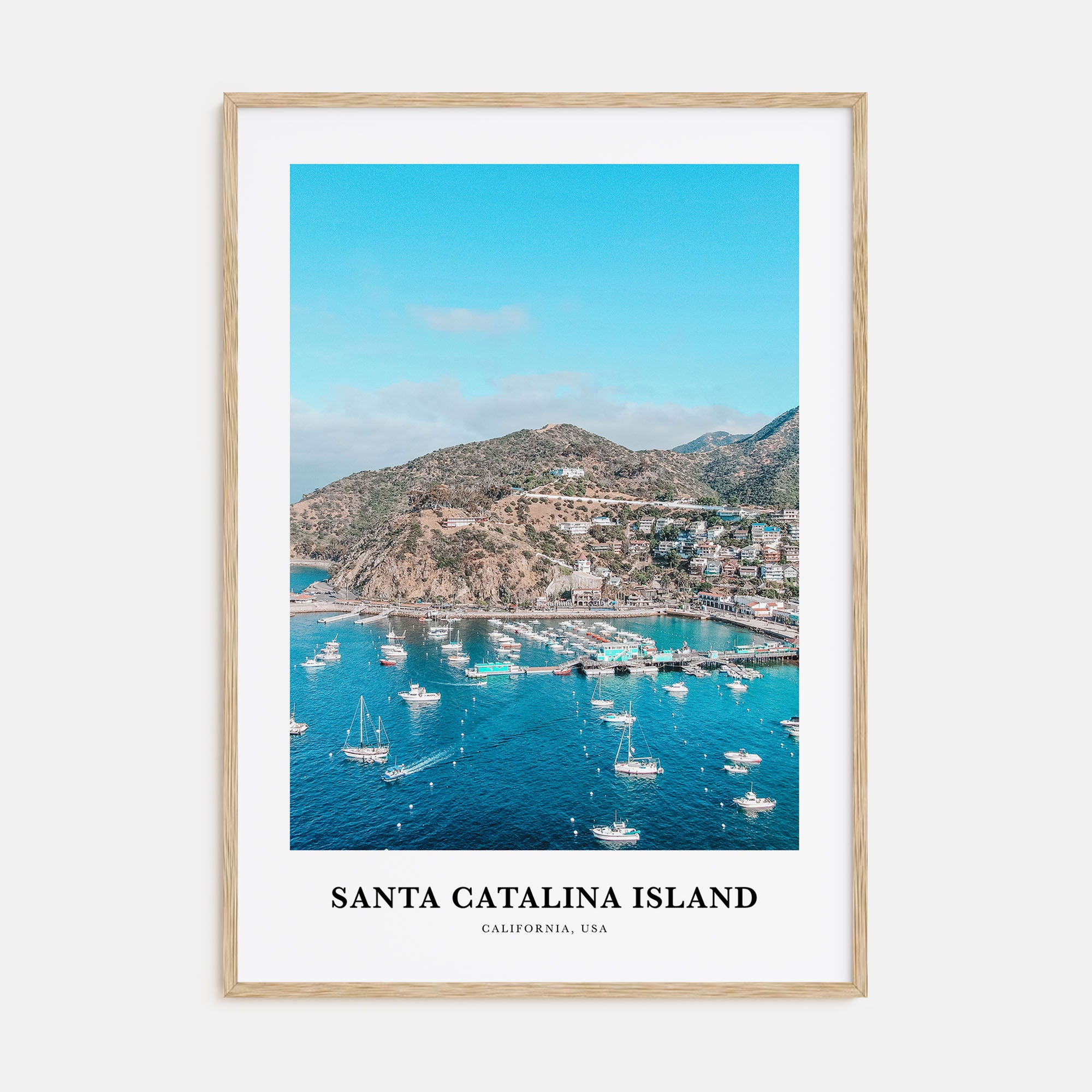 Santa Catalina Island Portrait Color Poster