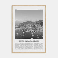 Santa Catalina Island Travel B&W No 2 Poster