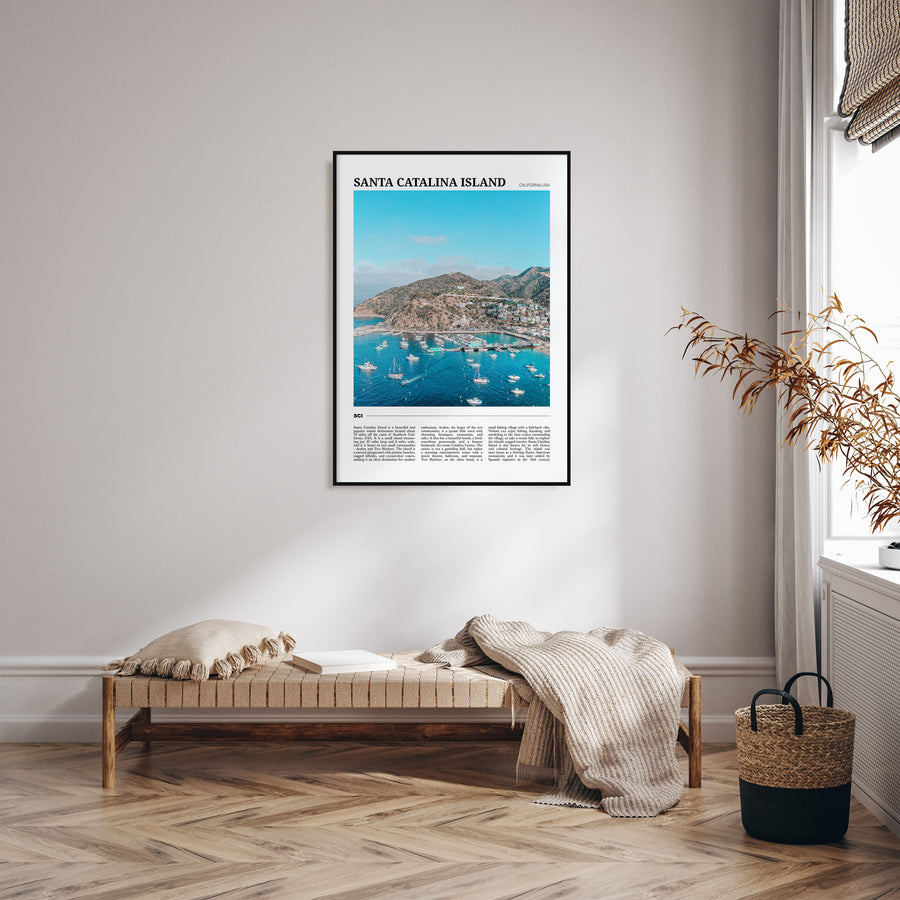 Santa Catalina Island Travel Color Poster