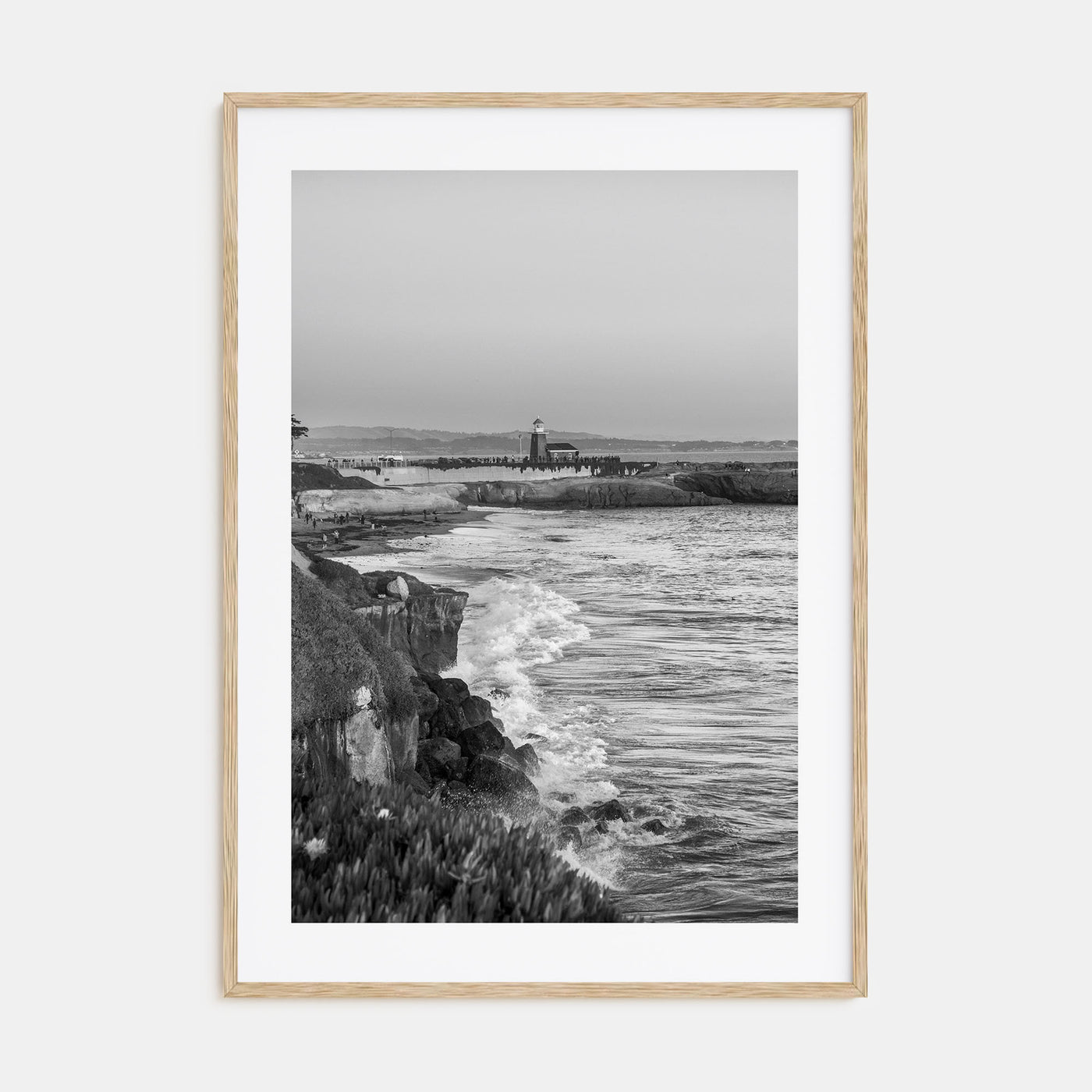 Santa Cruz Photo B&W No 2 Poster