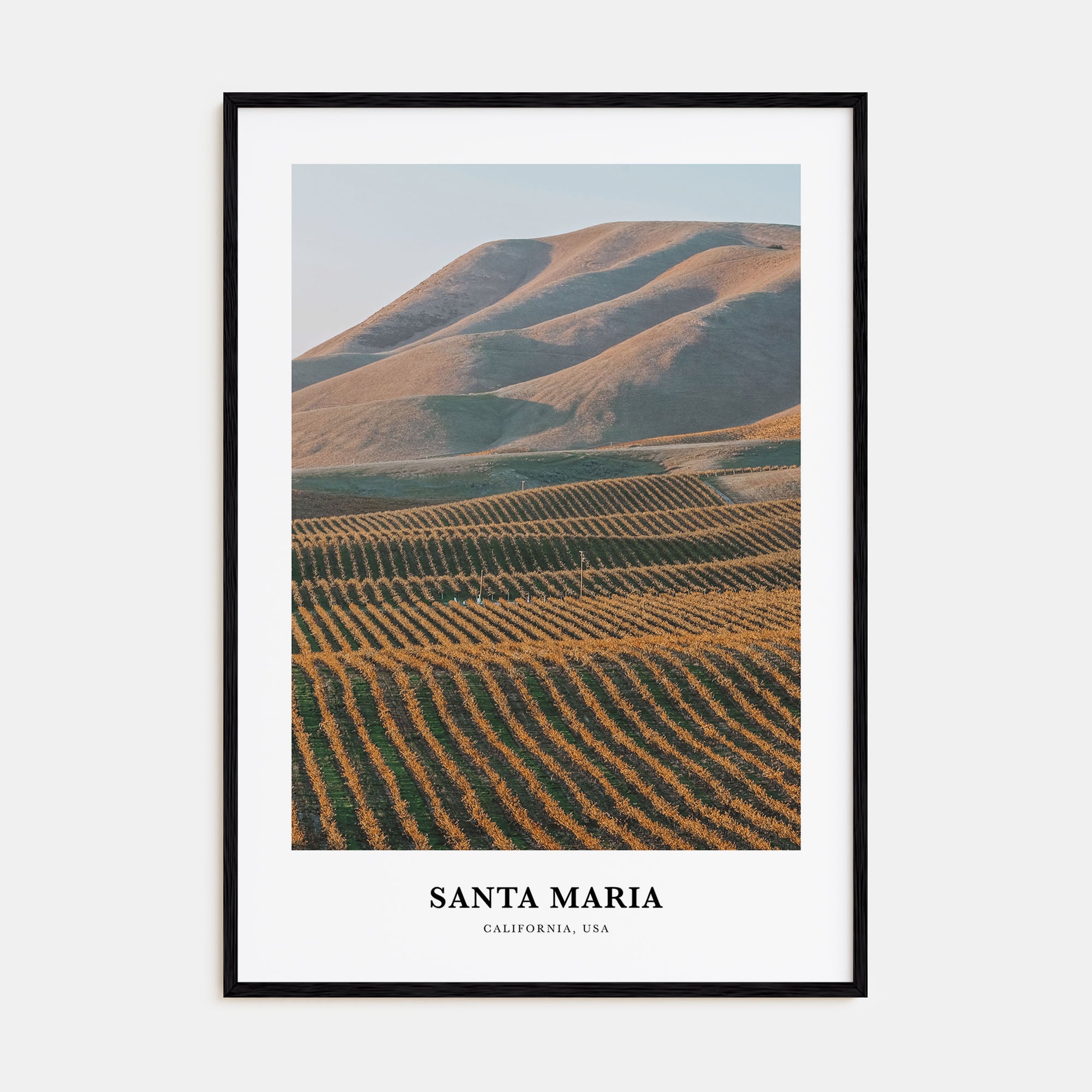 Santa Maria Portrait Color Poster