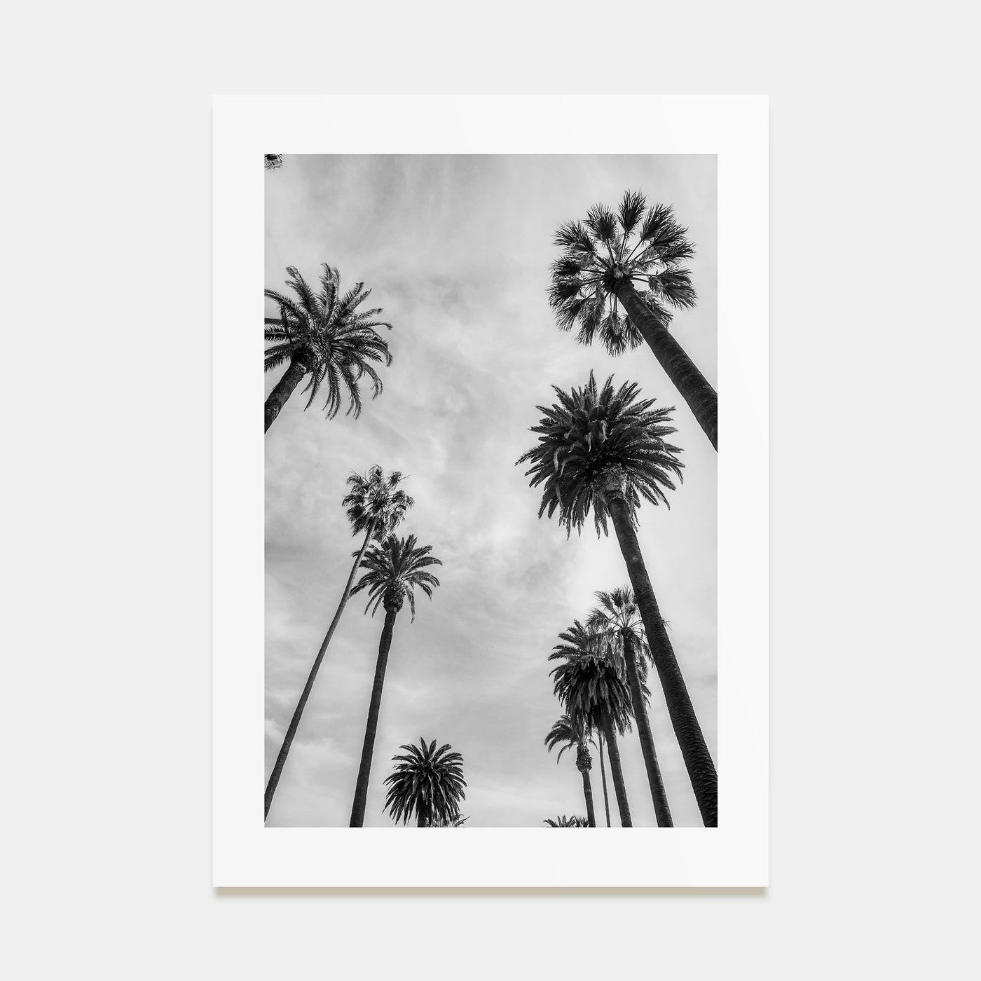 Santa Monica Photo B&W No 1 Poster