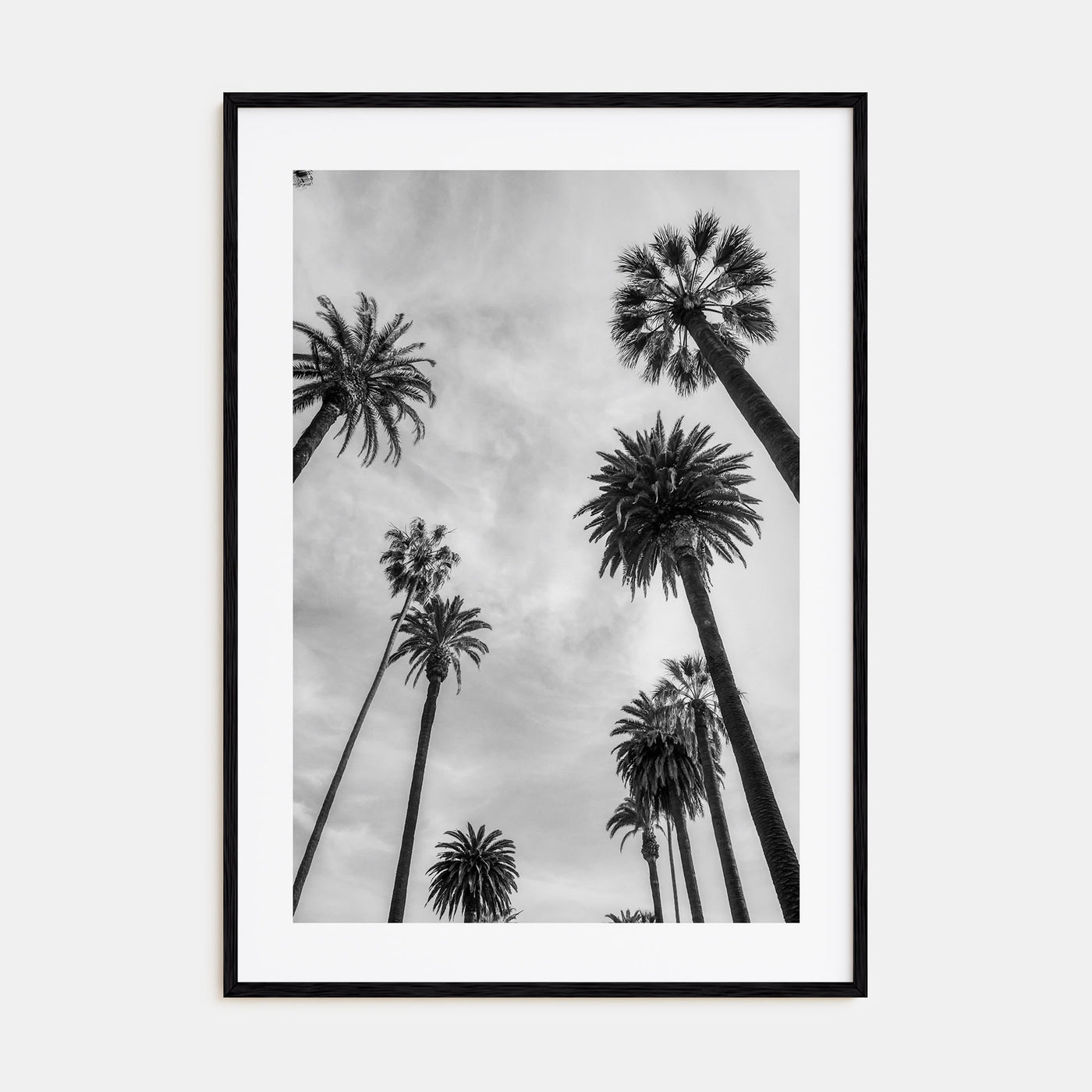 Santa Monica Photo B&W No 1 Poster