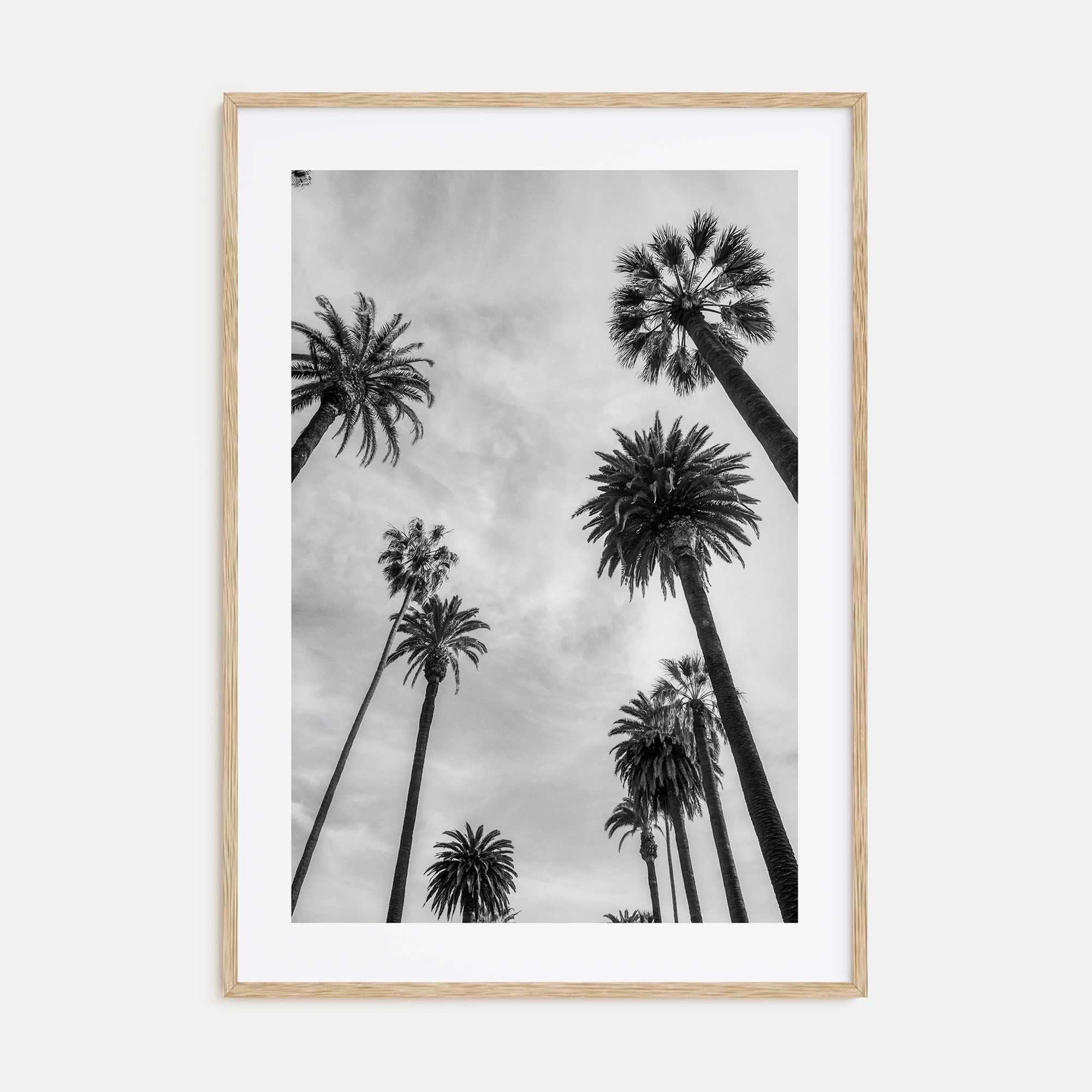 Santa Monica Photo B&W No 1 Poster