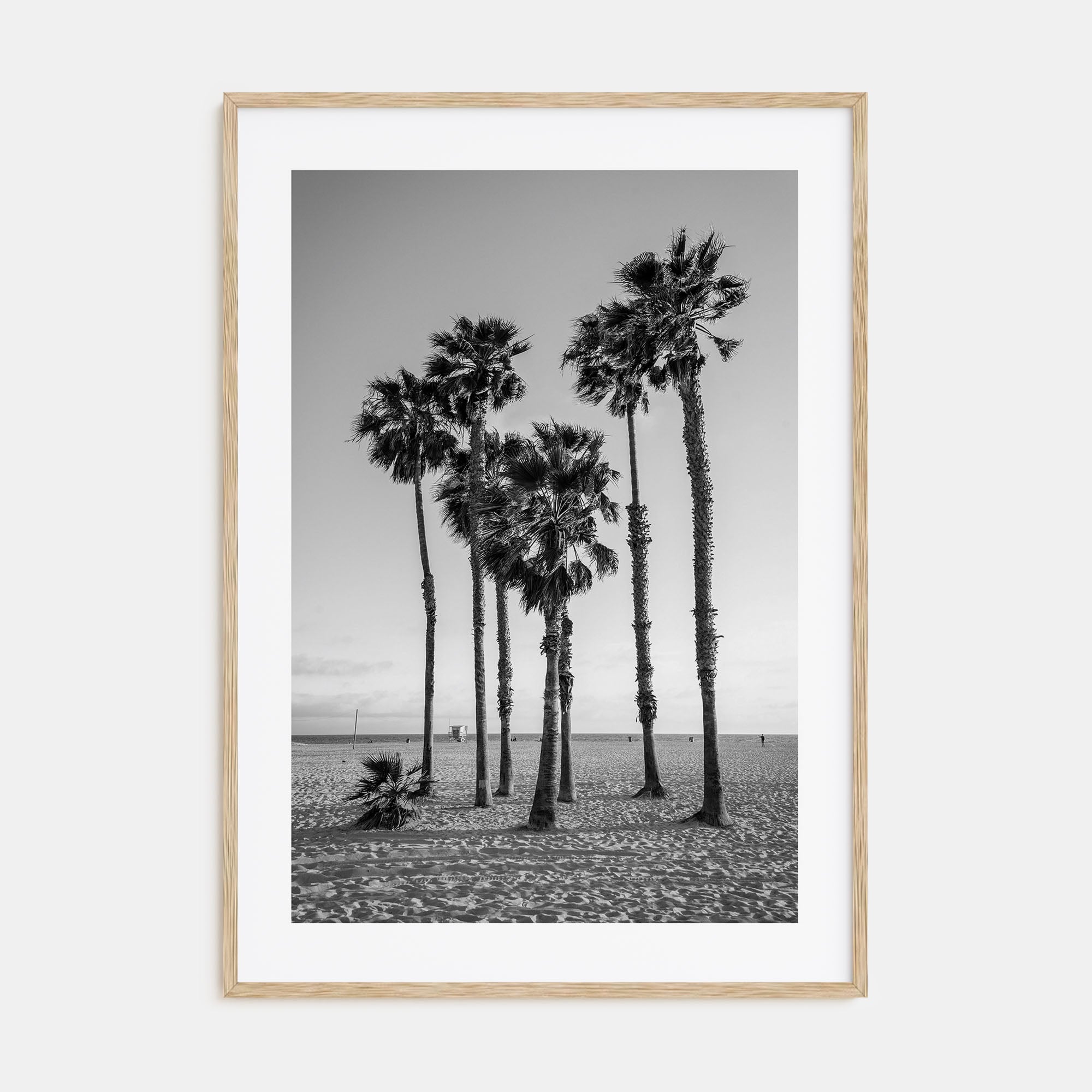 Santa Monica Photo B&W No 3 Poster