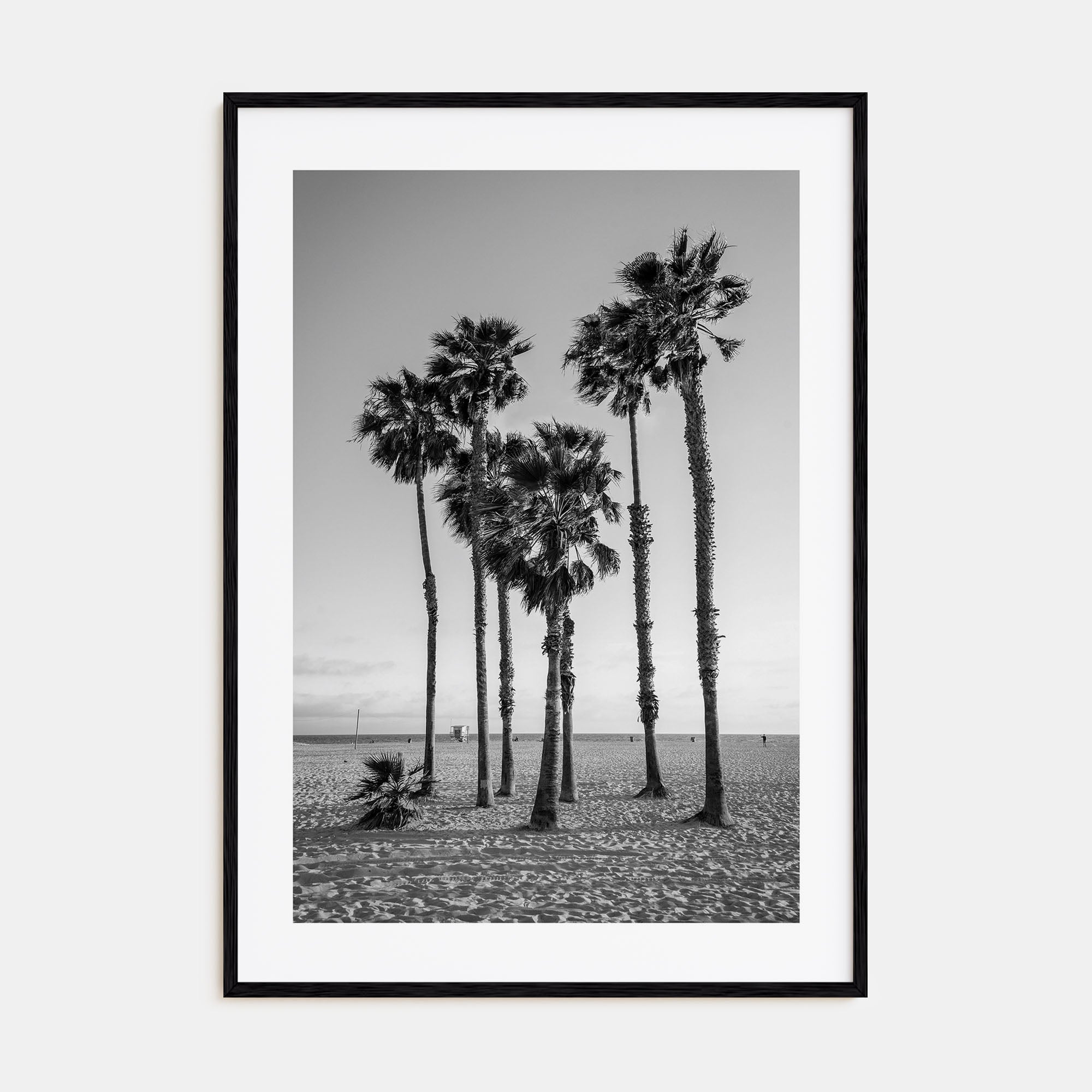 Santa Monica Photo B&W No 3 Poster
