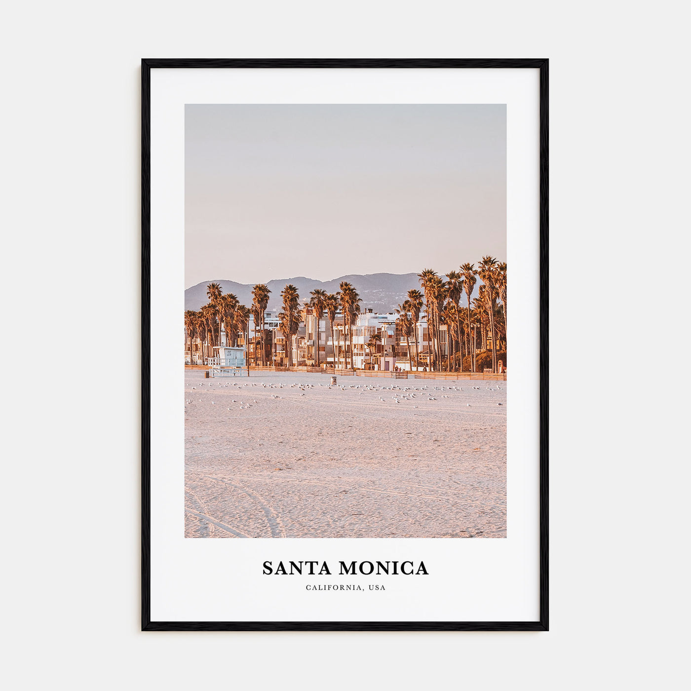 Santa Monica Portrait Color Poster