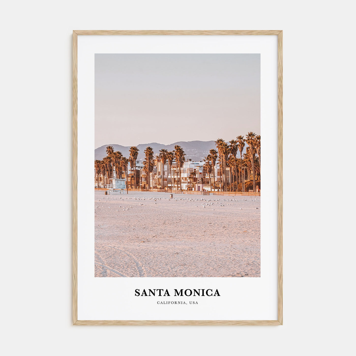 Santa Monica Portrait Color Poster