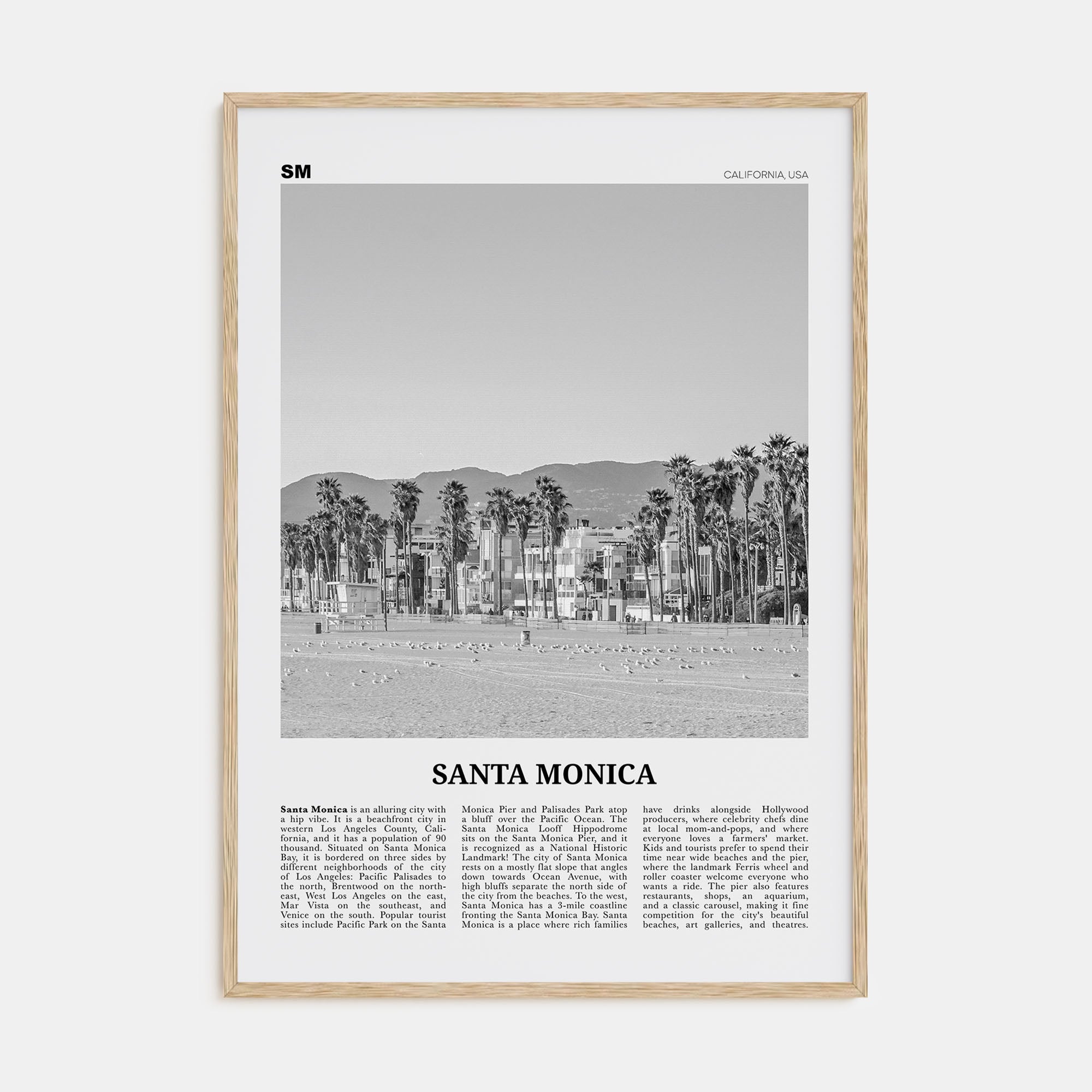 Santa Monica Travel B&W No 2 Poster