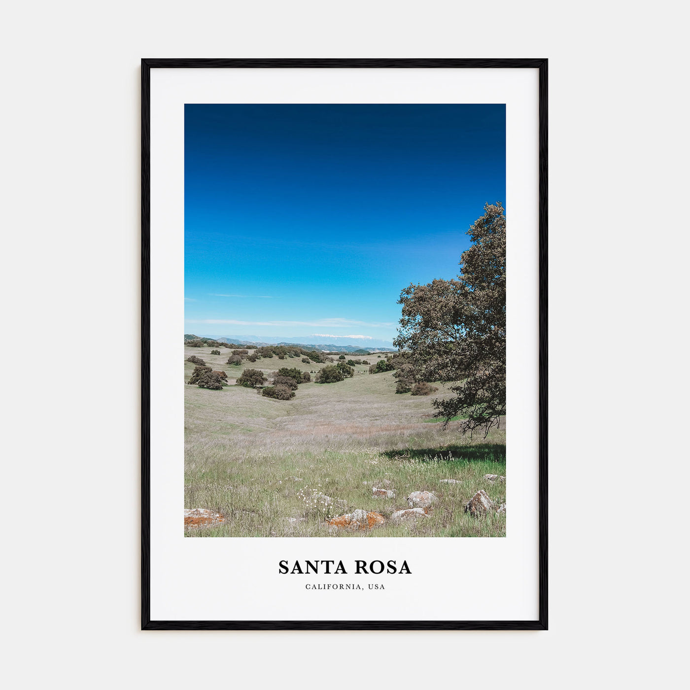 Santa Rosa Portrait Color No 2 Poster