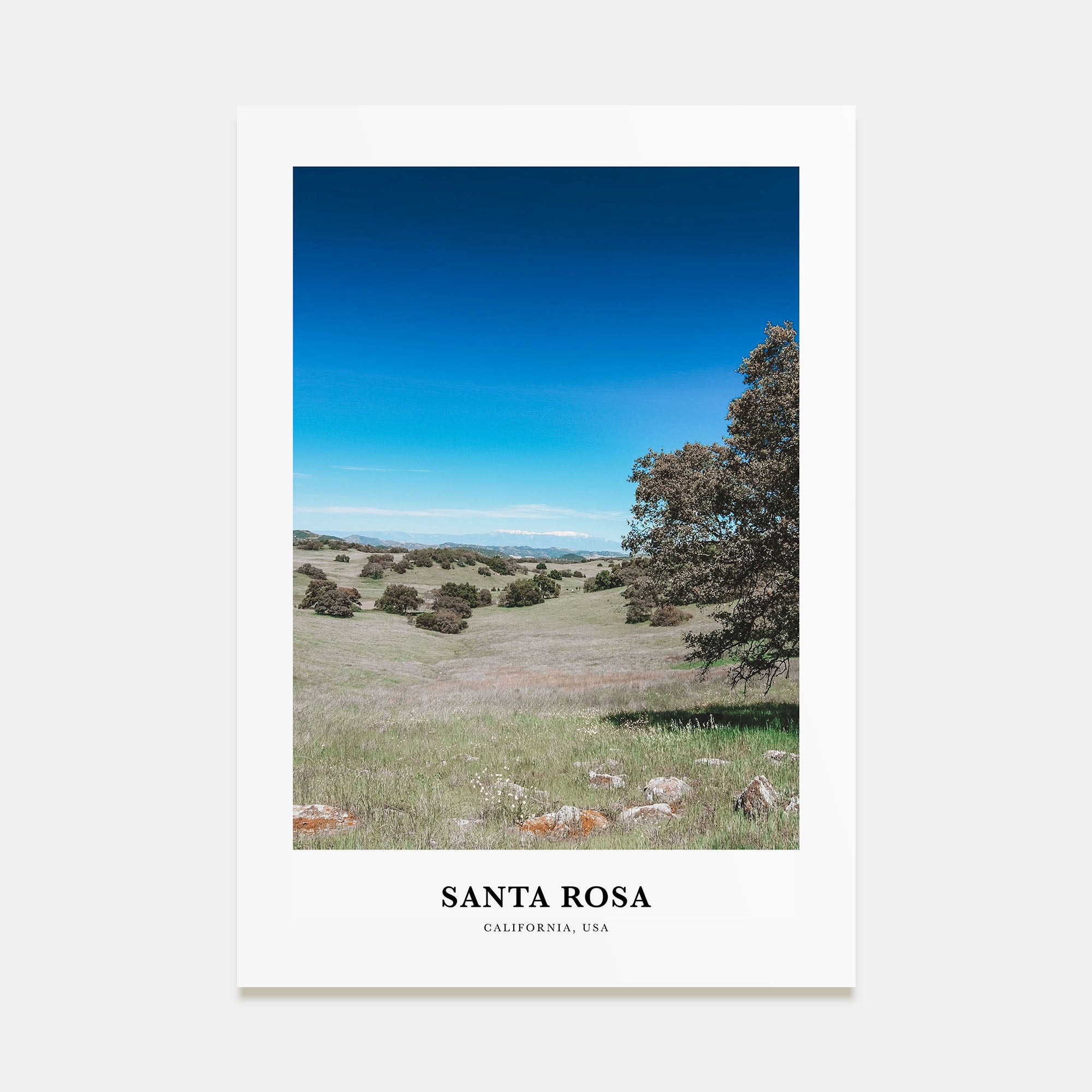 Santa Rosa Portrait Color No 2 Poster