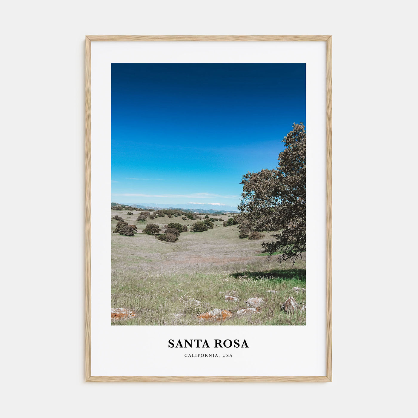Santa Rosa Portrait Color No 2 Poster