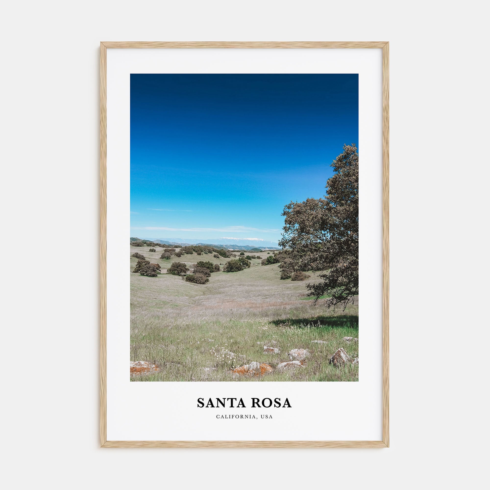 Santa Rosa Portrait Color No 2 Poster