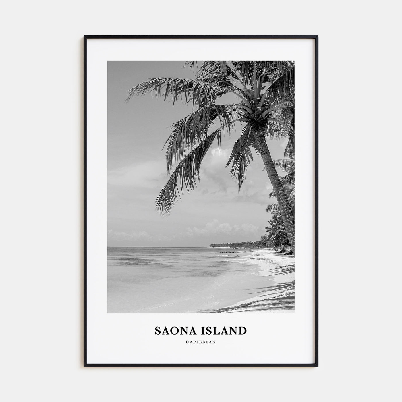 Saona Island Portrait B&W Poster