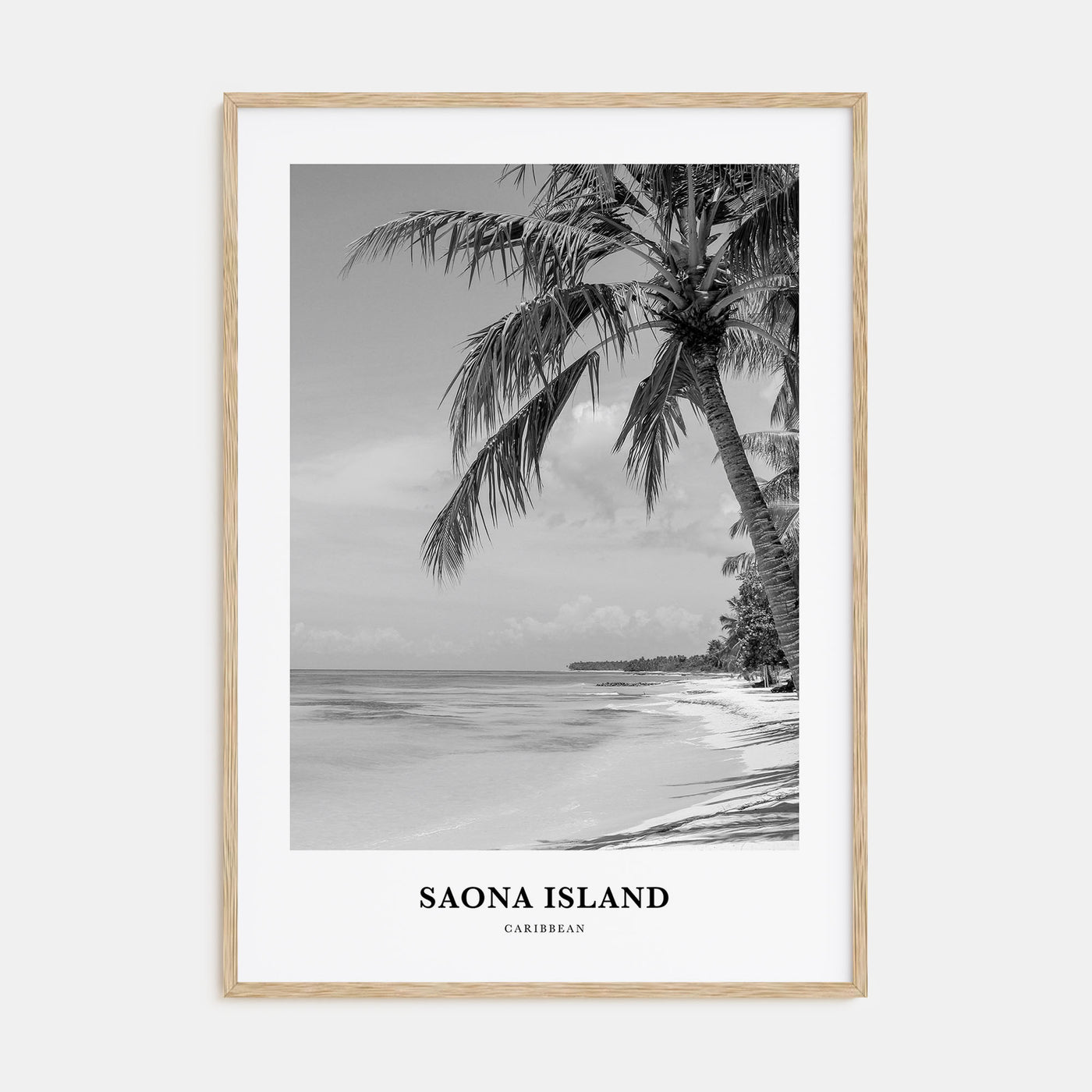 Saona Island Portrait B&W Poster
