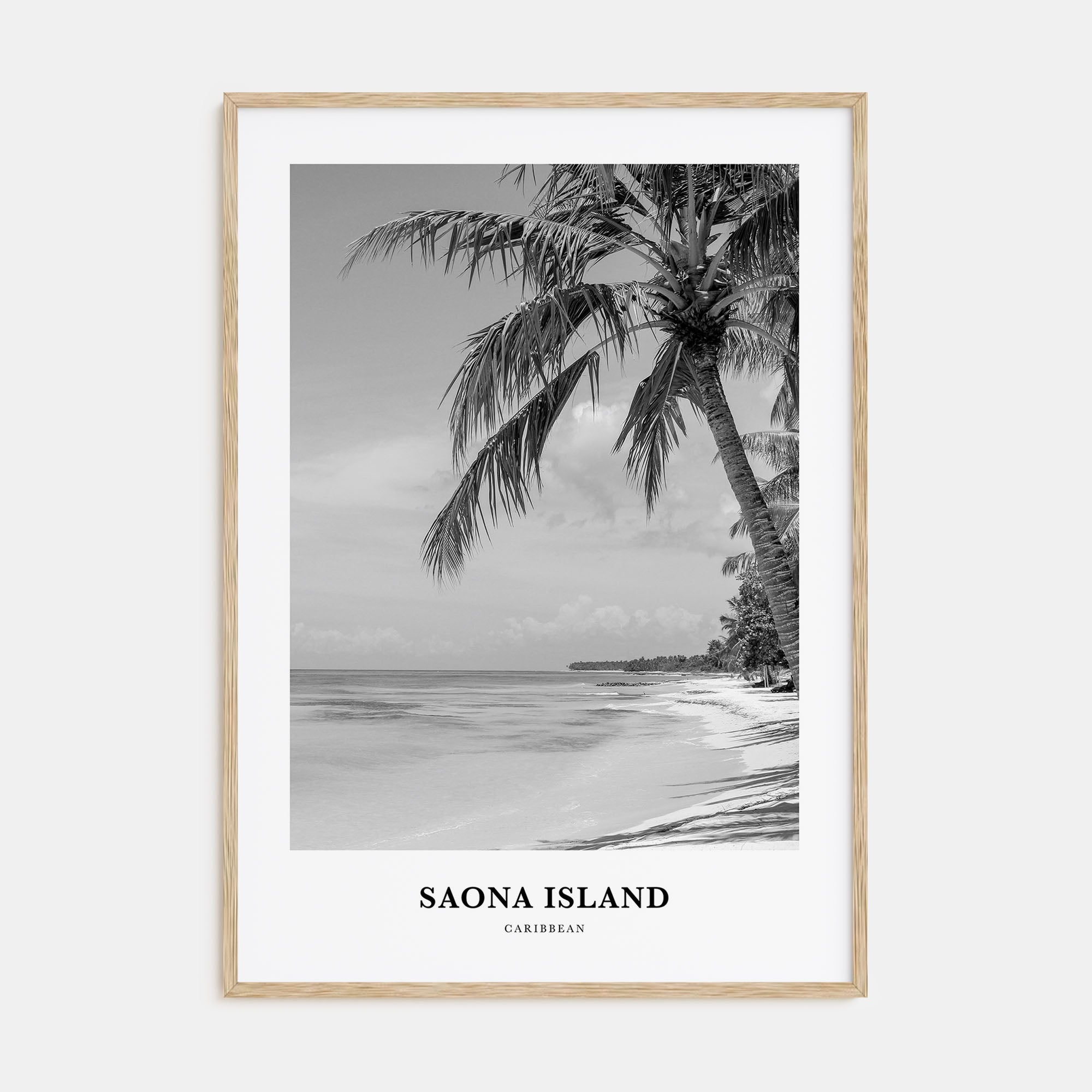 Saona Island Portrait B&W Poster