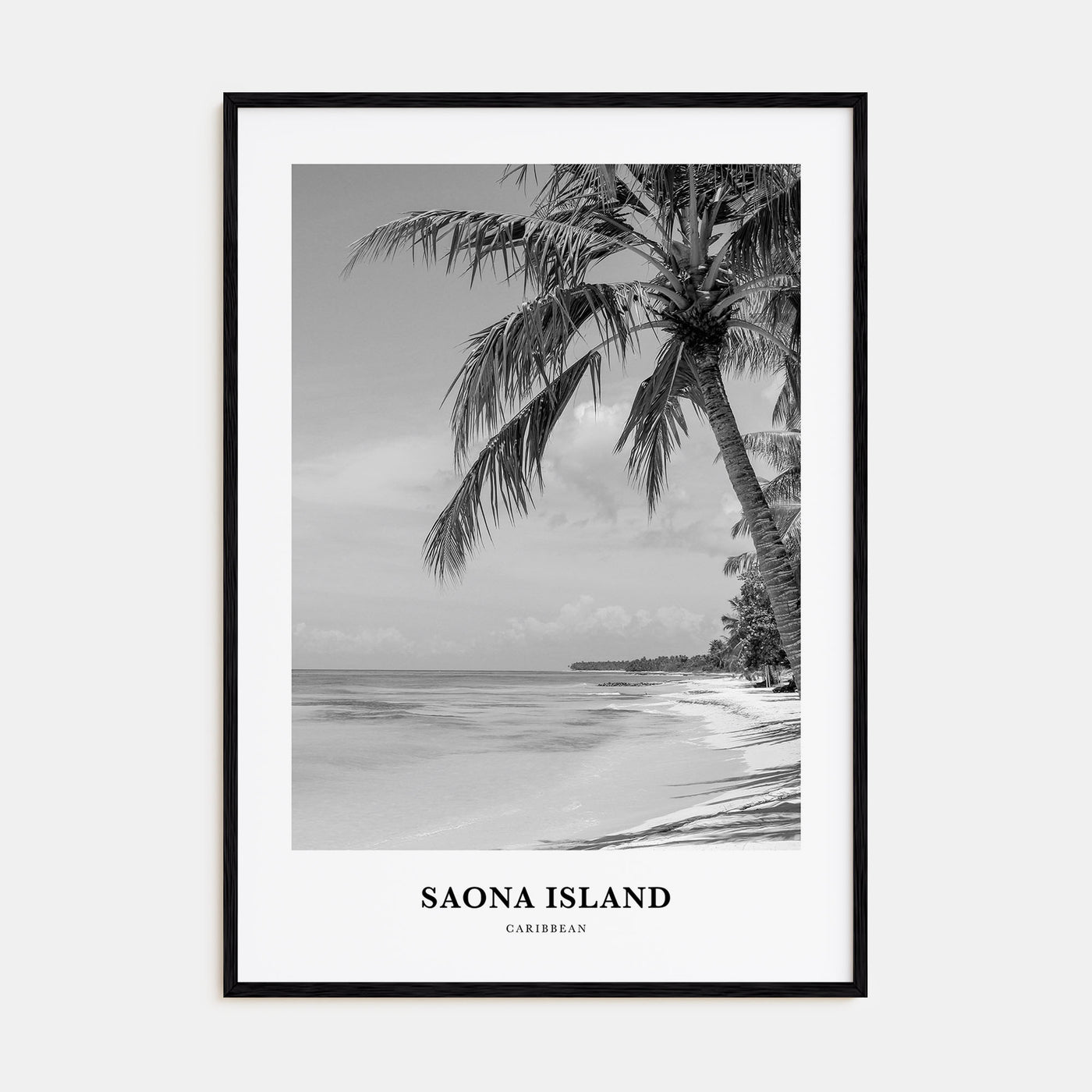 Saona Island Portrait B&W Poster