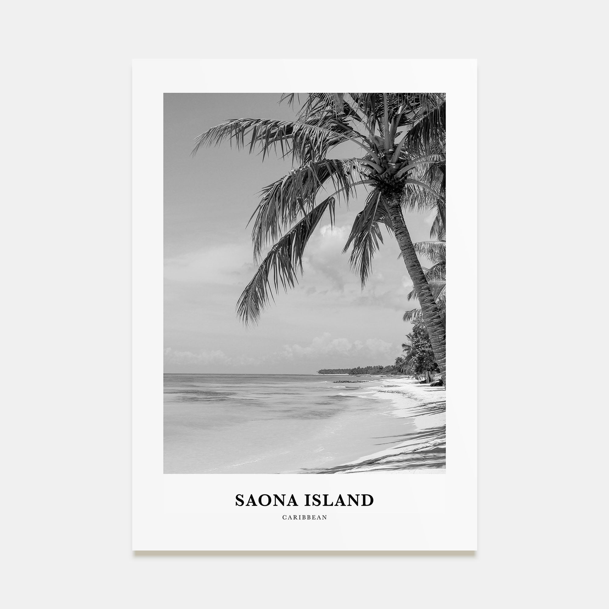Saona Island Portrait B&W Poster