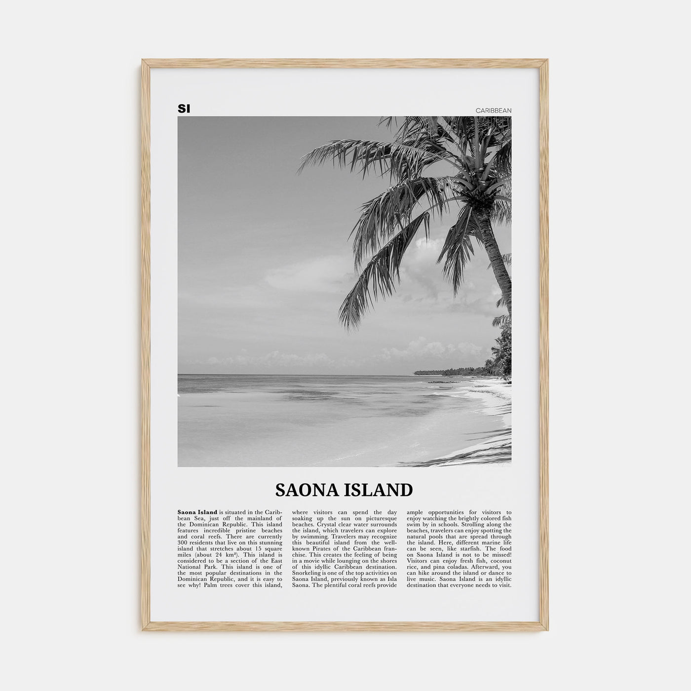 Saona Island Travel B&W Poster