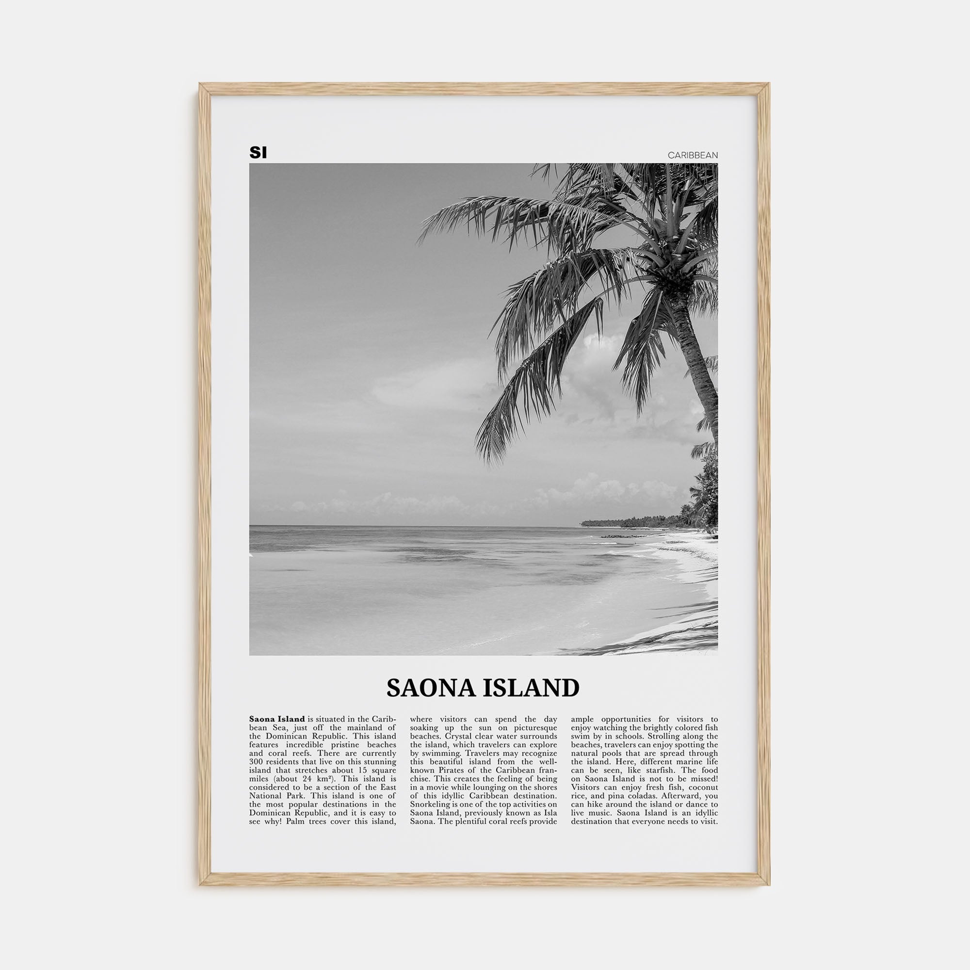 Saona Island Travel B&W Poster