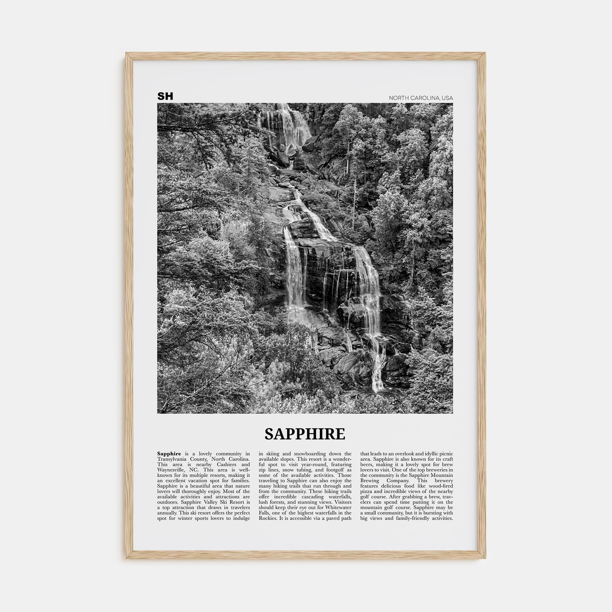 Sapphire Travel B&W Poster