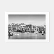 Sarasota Landscape B&W Poster