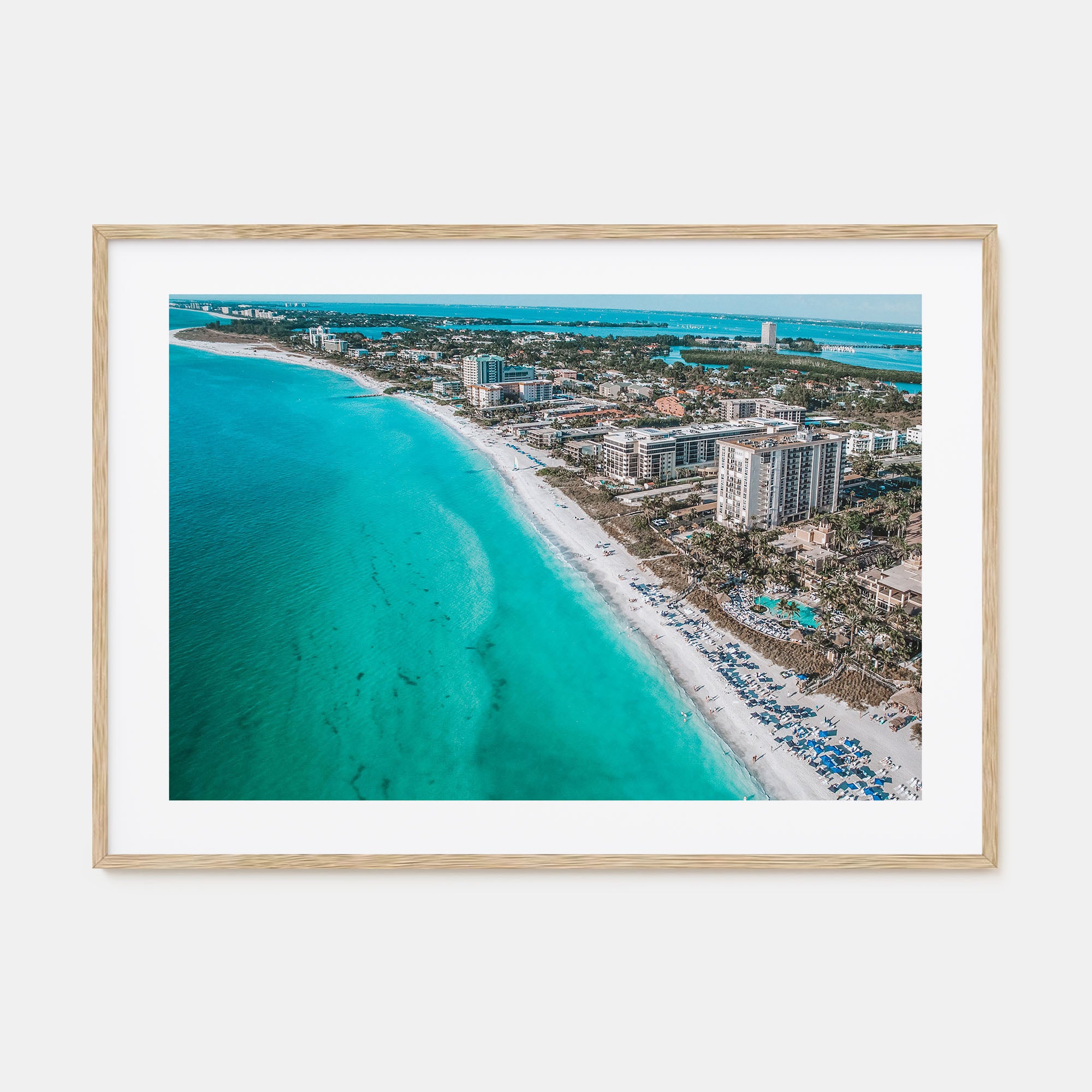 Sarasota Landscape Color Poster